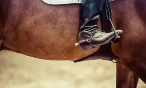 Jeździec w czarnym bucie z ostrogą, oparty o bok konia. Widoczny fragment siodła i kłąb u konia.