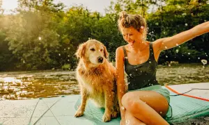 Radosne wakacje z psem na desce SUP. Dziewczyna i jej złoty retriever chlapią się wodą na tle zielonych drzew i słonecznej rzeki.