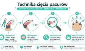 Ilustracja pokazuje technikę obcinania paznokci u psa. Krok po kroku, jak bezpiecznie przycinać pazury, unikając "szybki".