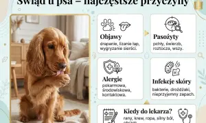 Pies się drapie, liże łapę i wygryza sierść. To objawy świądu, który może być spowodowany pasożytami, alergiami lub infekcjami skóry.