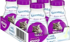 Pudełko mleka dla kotów Whiskas Katzenmilch. Czy kot może pić mleko bez laktozy? Tak, to mleko jest specjalnie przygotowane dla kotów, zredukowana laktoza.