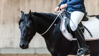 Jeździec w białych bryczesach i granatowej kurtce siedzi na czarnym koniu.