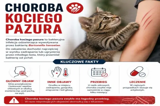 Kot zadrapuje rękę, wywołując chorobę kociego pazura. Infekcja bakteryjna, objawy, przebieg i leczenie.