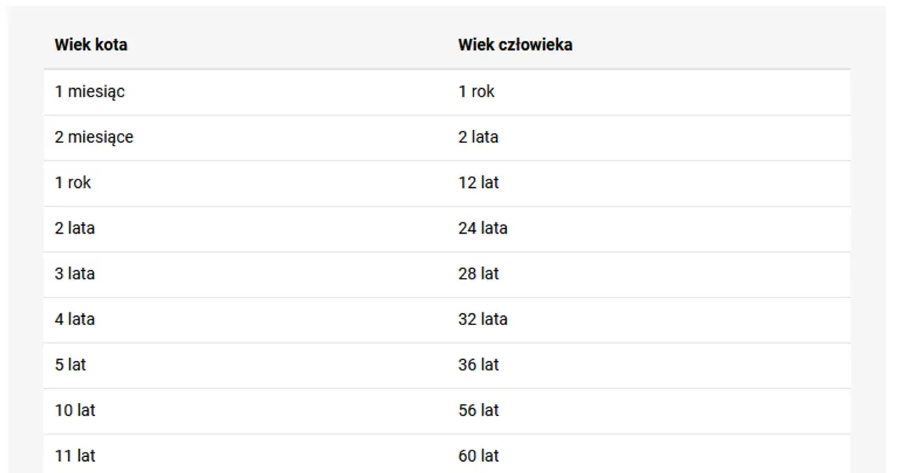Tabela porównująca wiek kota i człowieka. 12 lat kota to 60 lat ludzkich, co pokazuje, jak szybko koty dojrzewają.