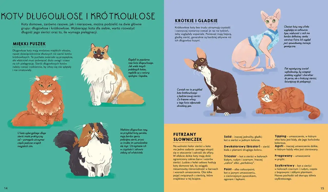 Ilustracja przedstawia różne rasy kotów, długowłose i krótkowłose, pokazując ile jest ras kotów i ich cechy.