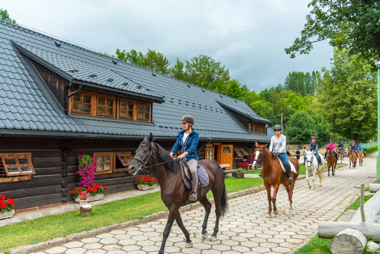 Stadnina Koni Stary Młyn Wilczkowice jazda konna